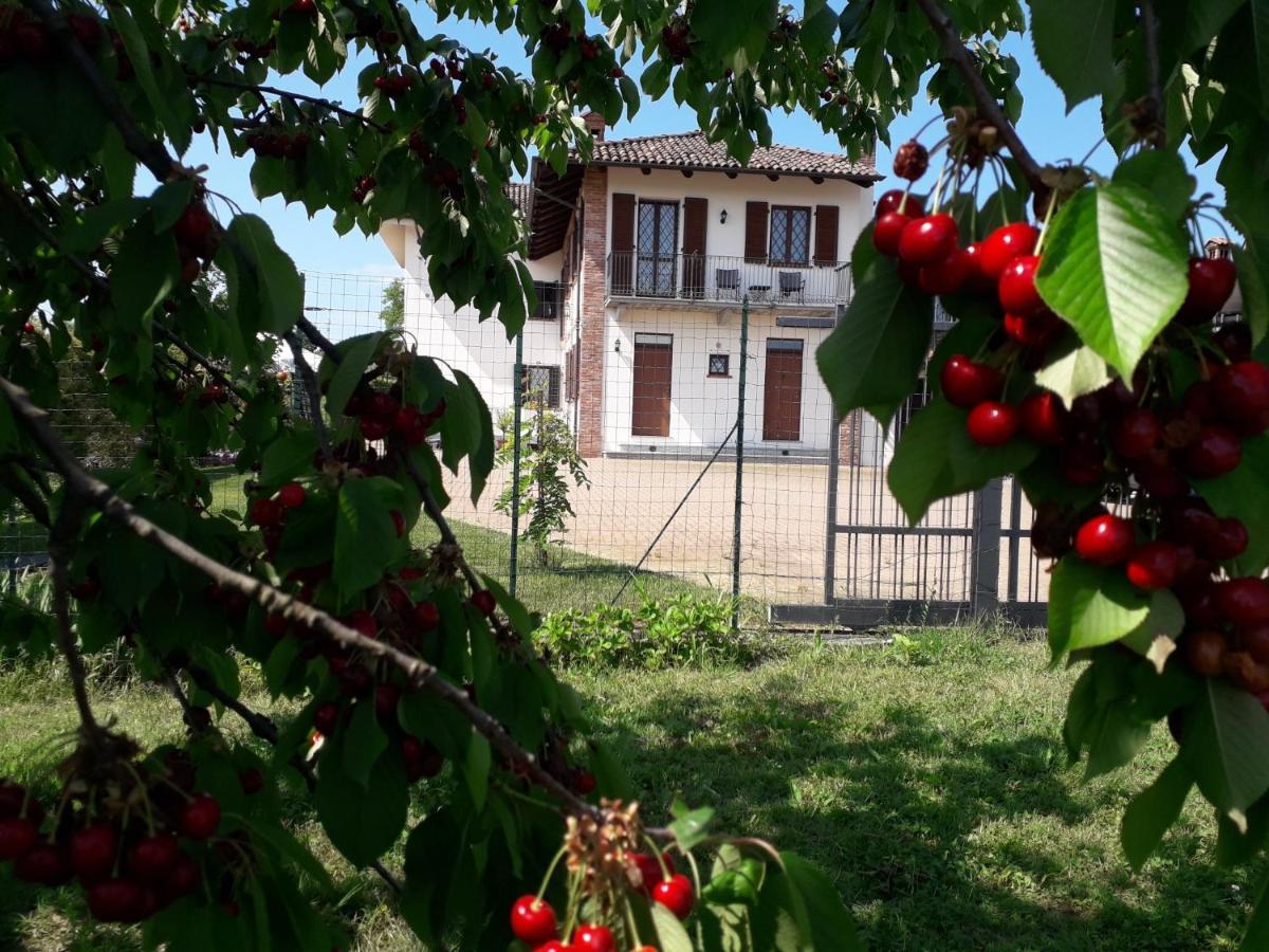 B&B Acacia Rosa Guarene Exterior photo